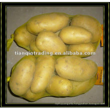 Fresh Potato In Mesh Bags